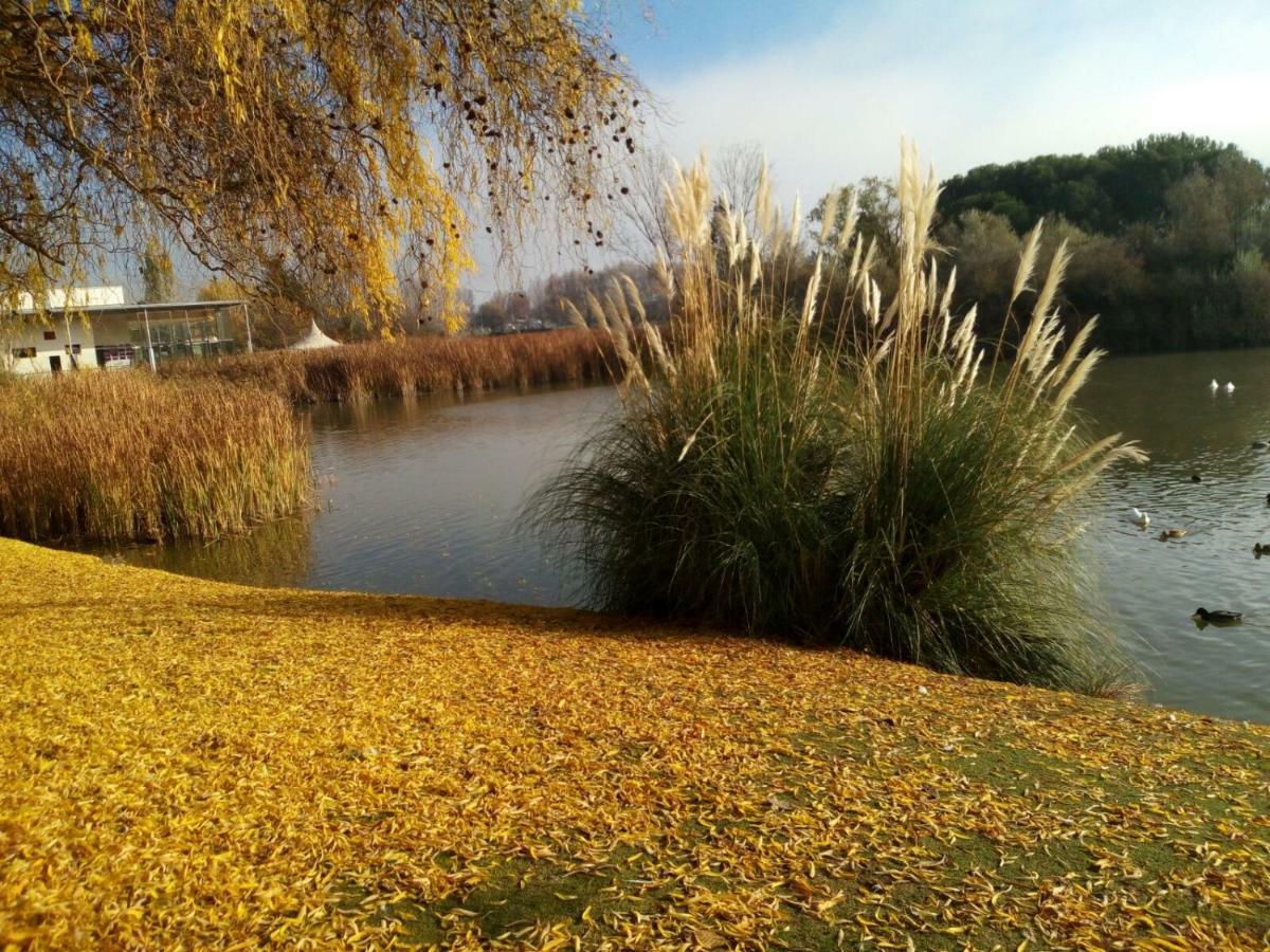 La Laguna Lejlighed Laguna de Duero Eksteriør billede